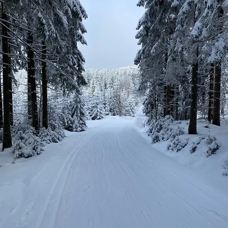 Chalet Bedrichov Alpesi faház